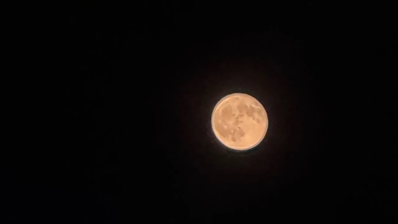 かわいいね 後藤花