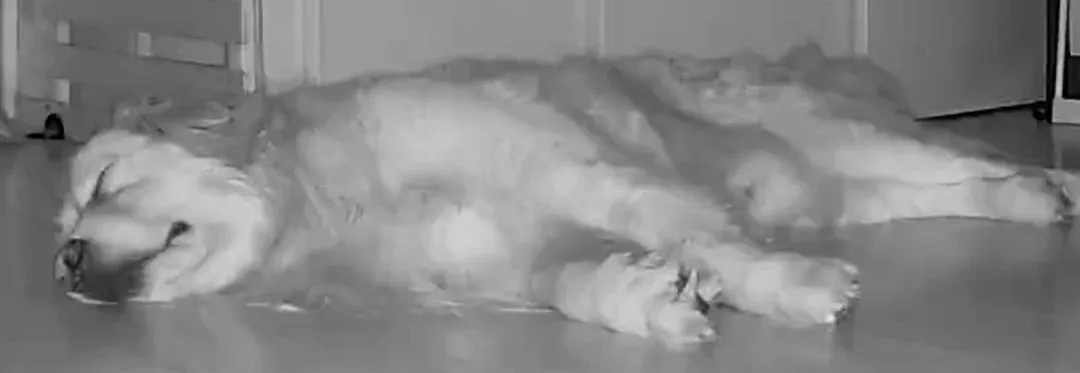 20歳の実感西﨑美空