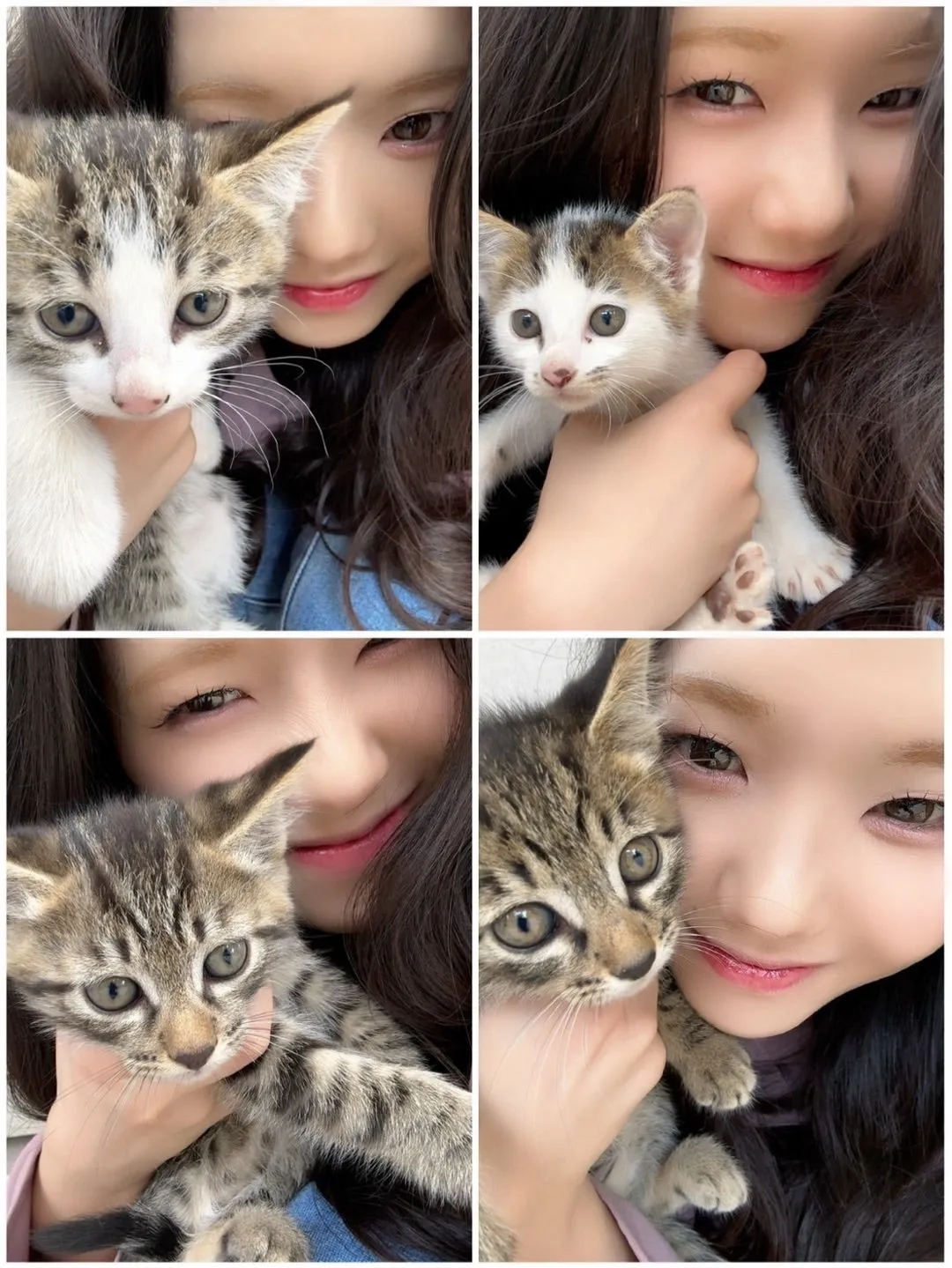 あいうえちゃん 下井谷幸穂