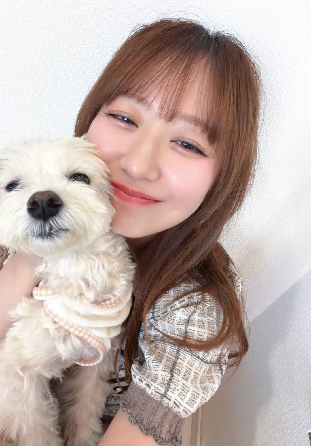 とうふちゃん #マルプー