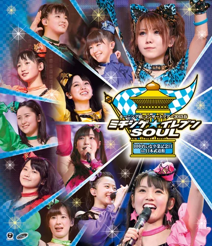 モーニング娘。コンサートツアー2013春ミチシゲ☆イレブンSOUL〜田中れいな卒業記念日〜 in日本武道館