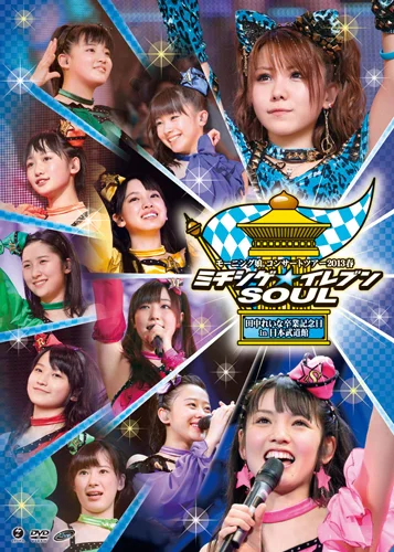 モーニング娘。コンサートツアー2013春ミチシゲ☆イレブンSOUL〜田中れいな卒業記念日〜 in日本武道館