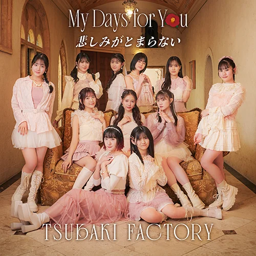 My Days for You/悲しみがとまらない(Special Edition)